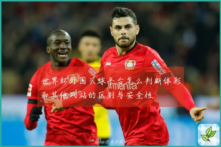 世界杯外围买球平台怎么判断体彩和其他网站的区别与安全性