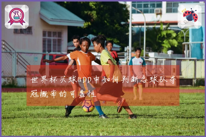 世界杯买球app中如何判断各球队夺冠概率的可靠性