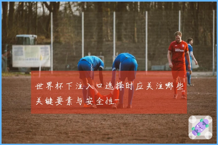 世界杯下注入口选择时应关注哪些关键要素与安全性-